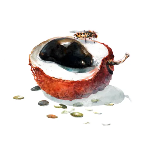 Logo d’Elodie Moutengou, bijoux en graines